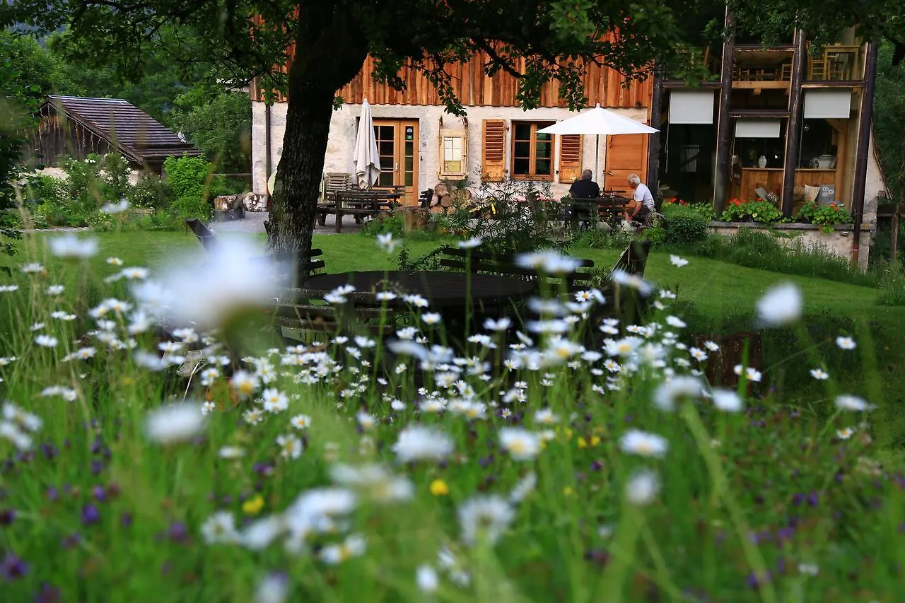 Auberge Du Moulin De Lere Vailly France